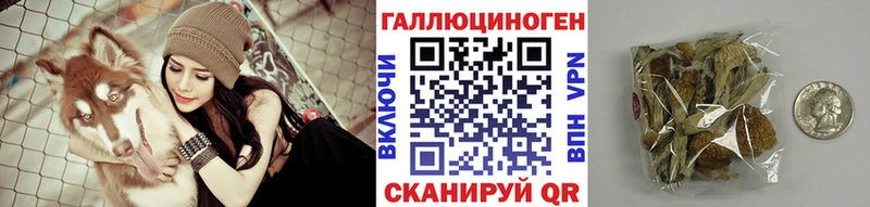 Купить где  Саратов  Галлюциногенные грибы Cubensis 